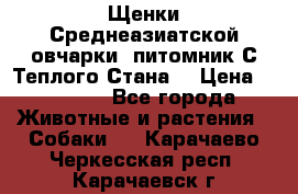 Щенки Среднеазиатской овчарки (питомник С Теплого Стана) › Цена ­ 20 000 - Все города Животные и растения » Собаки   . Карачаево-Черкесская респ.,Карачаевск г.
